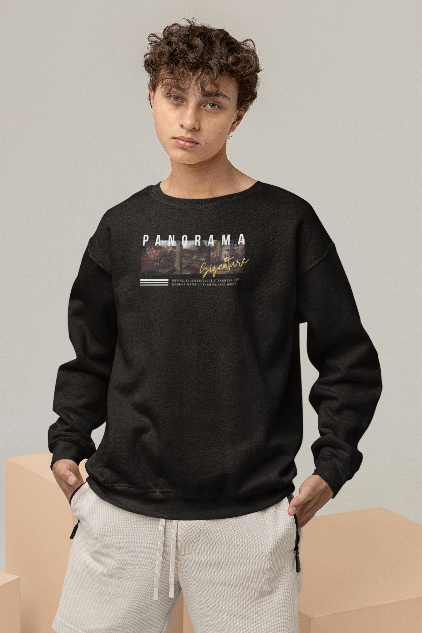 Panorama Oversized Sweatshirts