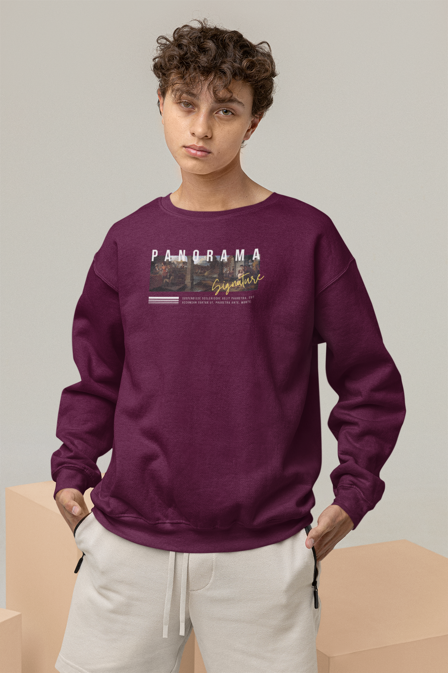 Panorama Oversized Sweatshirts