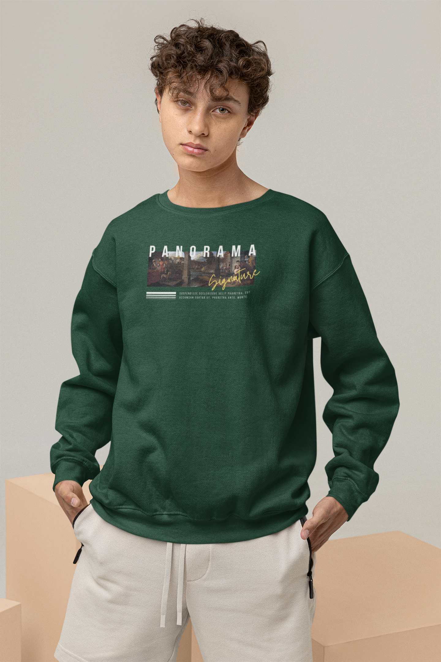 Panorama Oversized Sweatshirts